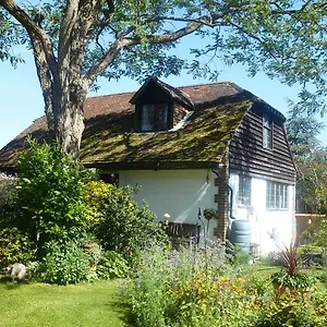 Strawberry Hedge End